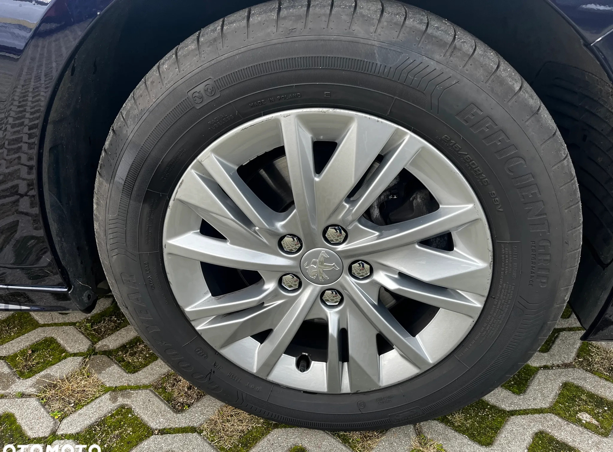 Peugeot 508 cena 125000 przebieg: 27000, rok produkcji 2022 z Piwniczna-Zdrój małe 781